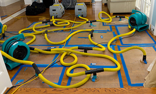 Professional Flood Damage Restoration technician working in Mosheim, TN